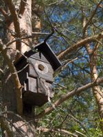 A birdbox is an artificial platform for birds to make a nest
