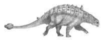 Euoplocephalus was a typical "armored dinosaur" of the Ankylosauria superfamily.